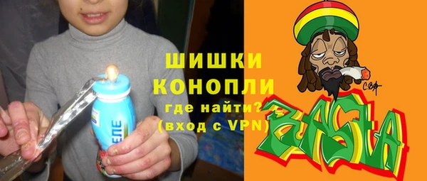 бошки Каменногорск