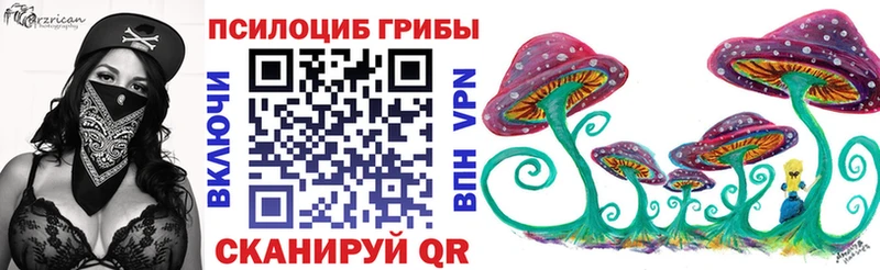 Псилоцибиновые грибы Cubensis Купить Пионерский